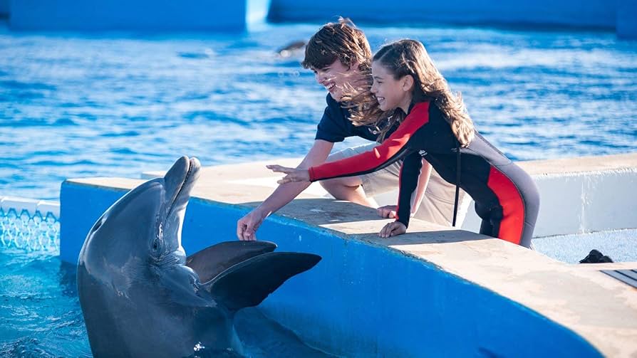 Dolphin Summer Hindi dubbed dubbed Movie Download